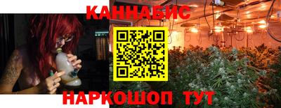 ALPHA PVP Гай