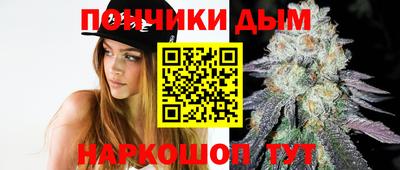 ALPHA PVP Гай